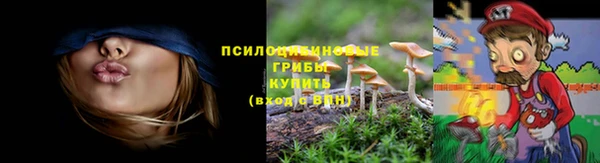 таблы Армянск