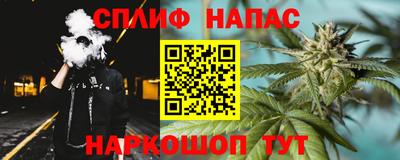 дурь Камышлов
