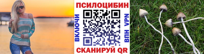Псилоцибиновые грибы Magic Shrooms  mega как войти  Полысаево  наркота 