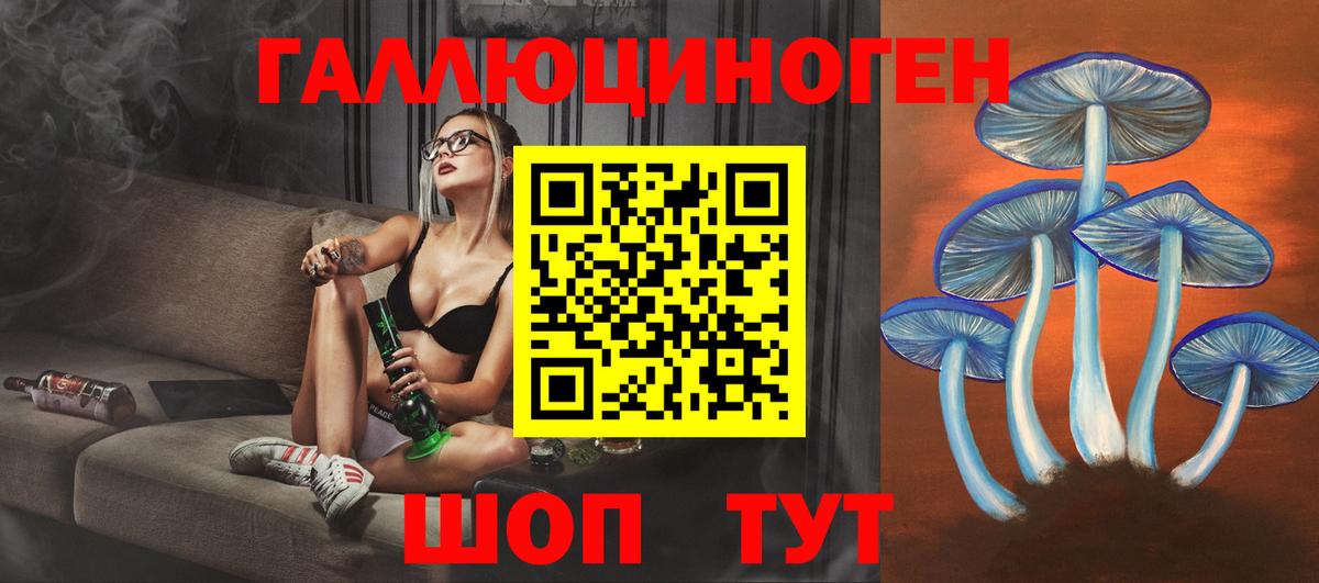 Полысаево  Псилоцибиновые грибы мицелий  Вход с VPN  даркнет сайт  Галлюциногенные грибы ЛСД 